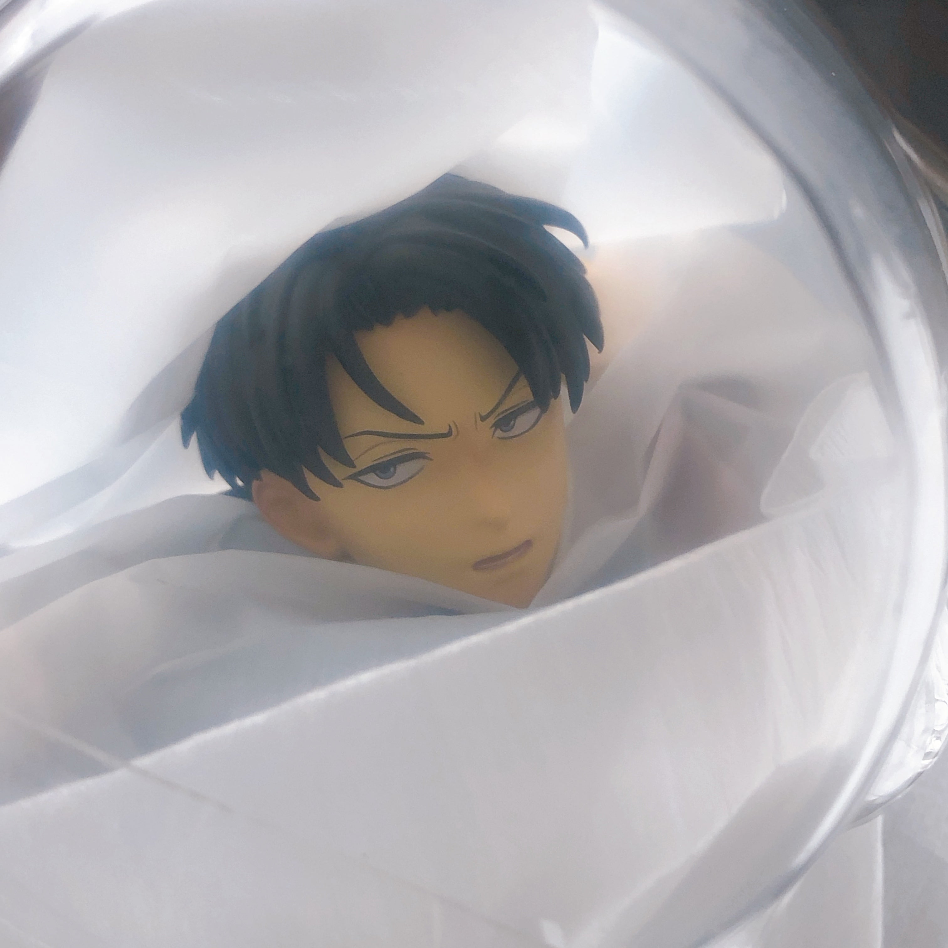 Attack on Titan Levi 1/6 Figure The Strongest Soldier Pony Canyon Japan Sealed