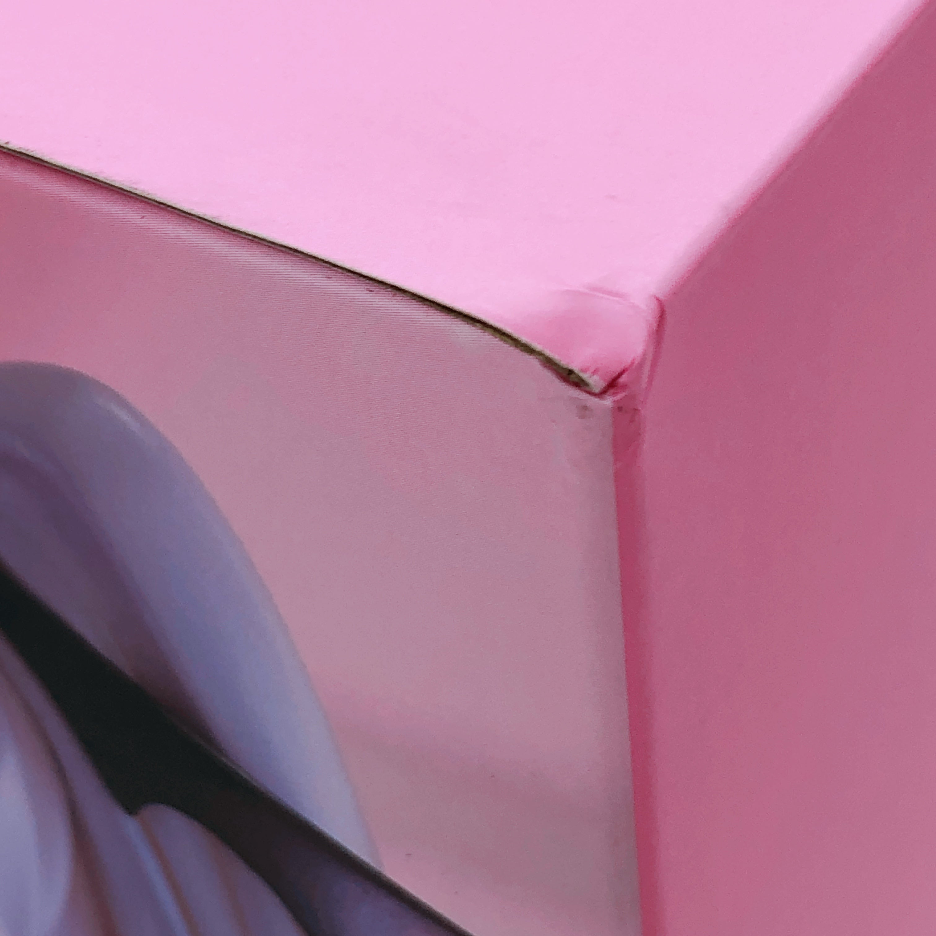 Eve Sweet Toxic Ver. Rurudo Original Illustration 1/6 Figure Pink Charm Japan