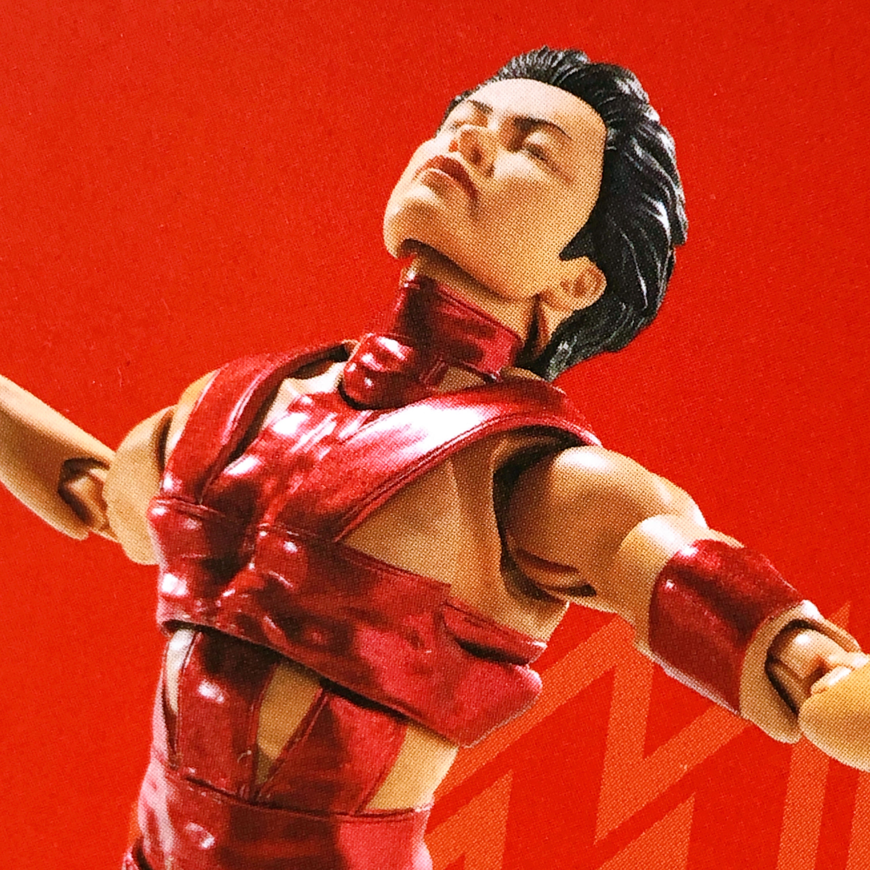 S.H.Figuarts T.M.Revolution RED HOT LIMITED EDITION Takanori Nishikawa