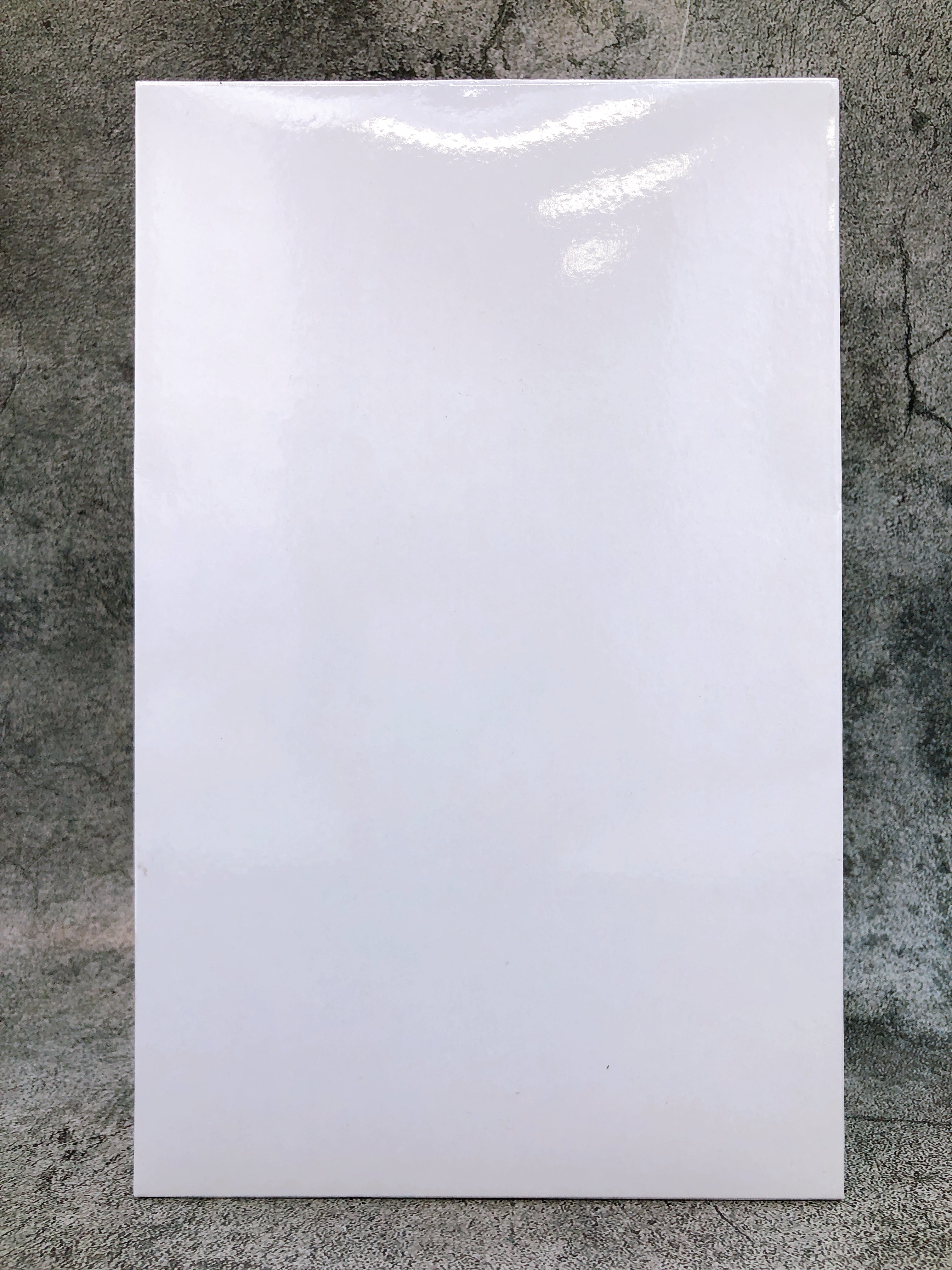 Mushoku Tensei Roxy Migurdia Swimsuit Ver. Figure Taito Online Crane Limited