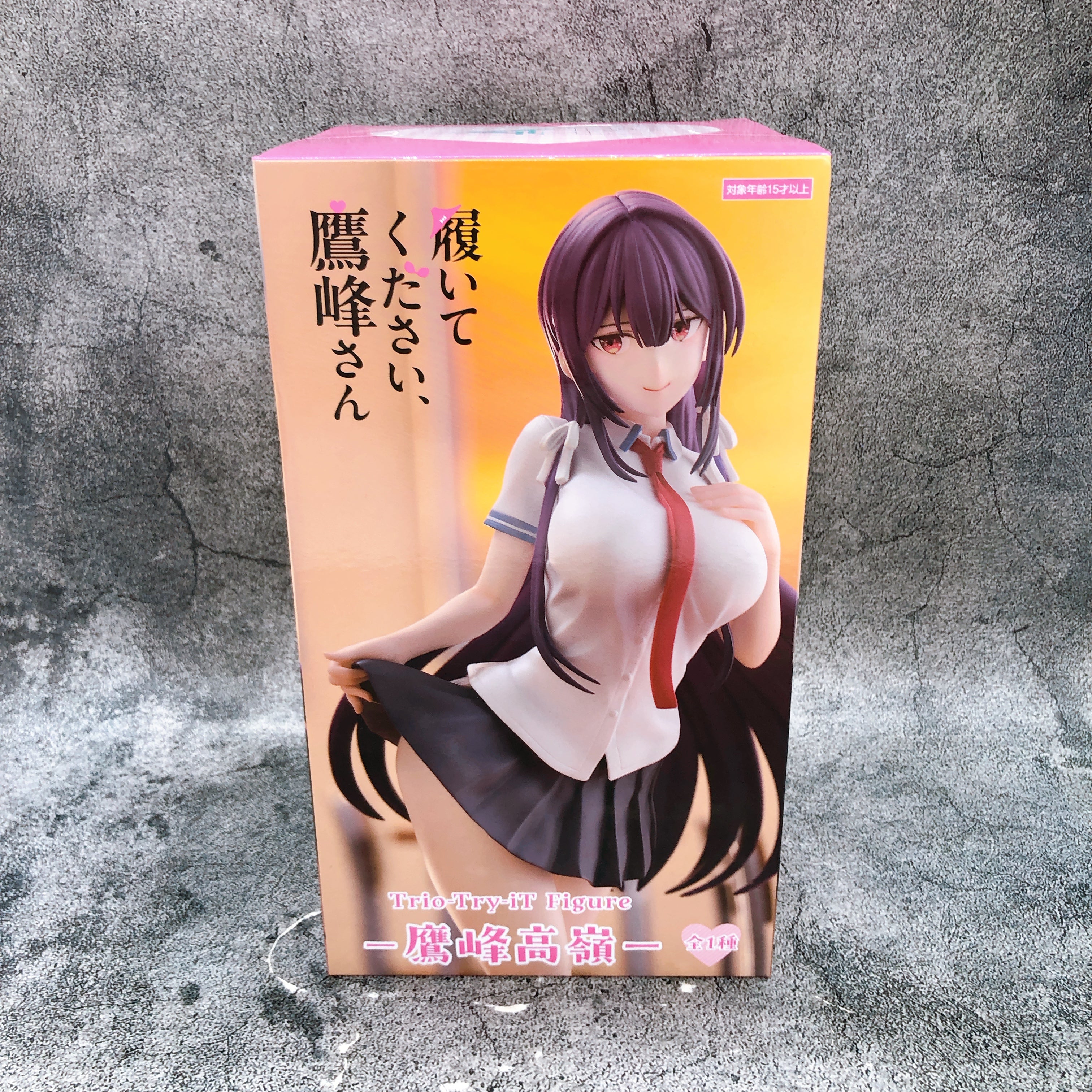 Please Put Them On, Takamine-san Takane Takamine Trio-Try-iT Figure FuRyu Japan