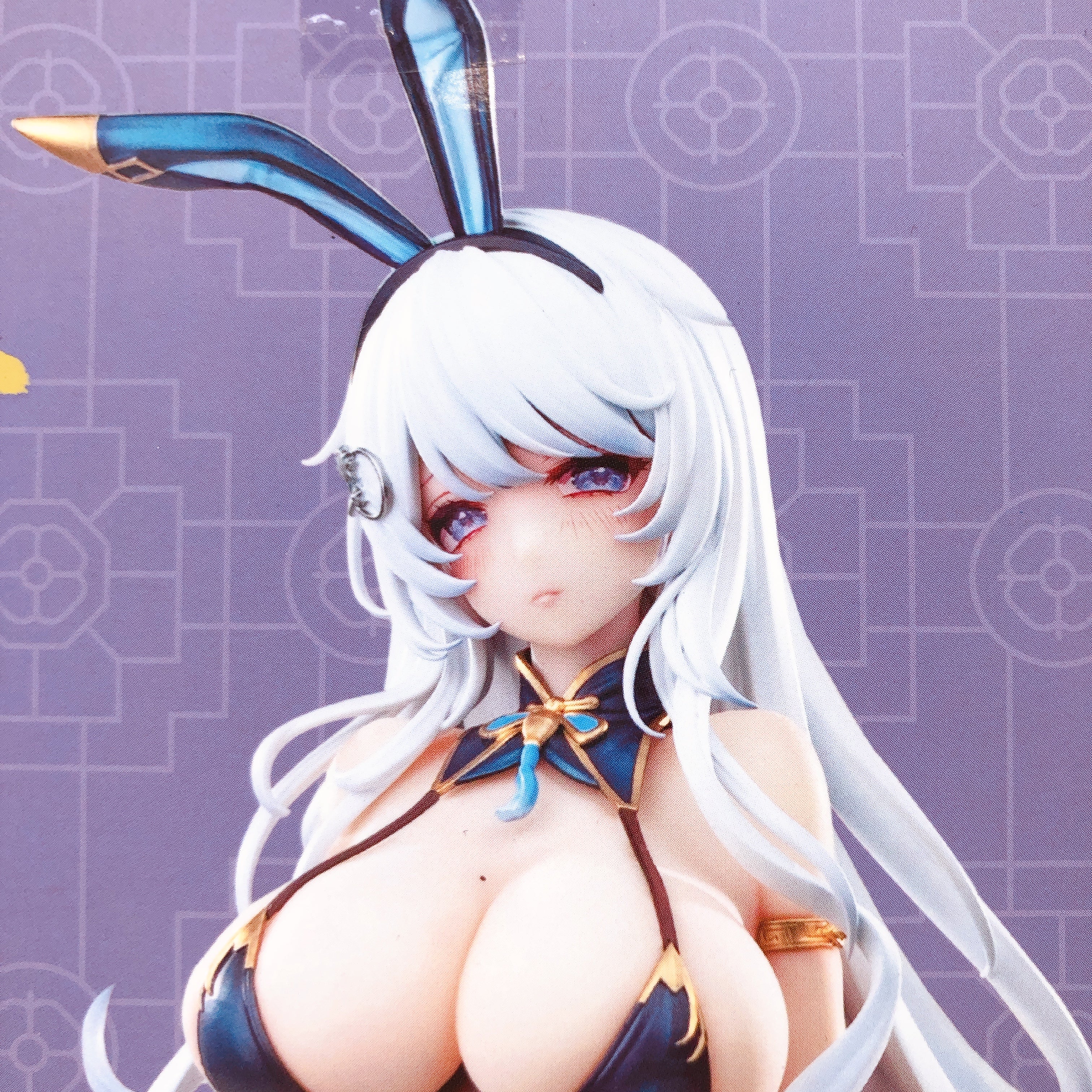 Qi Kai De Sheng Bunny Girl illustration by Machi 1/6 Figure Sealed Japan Seller