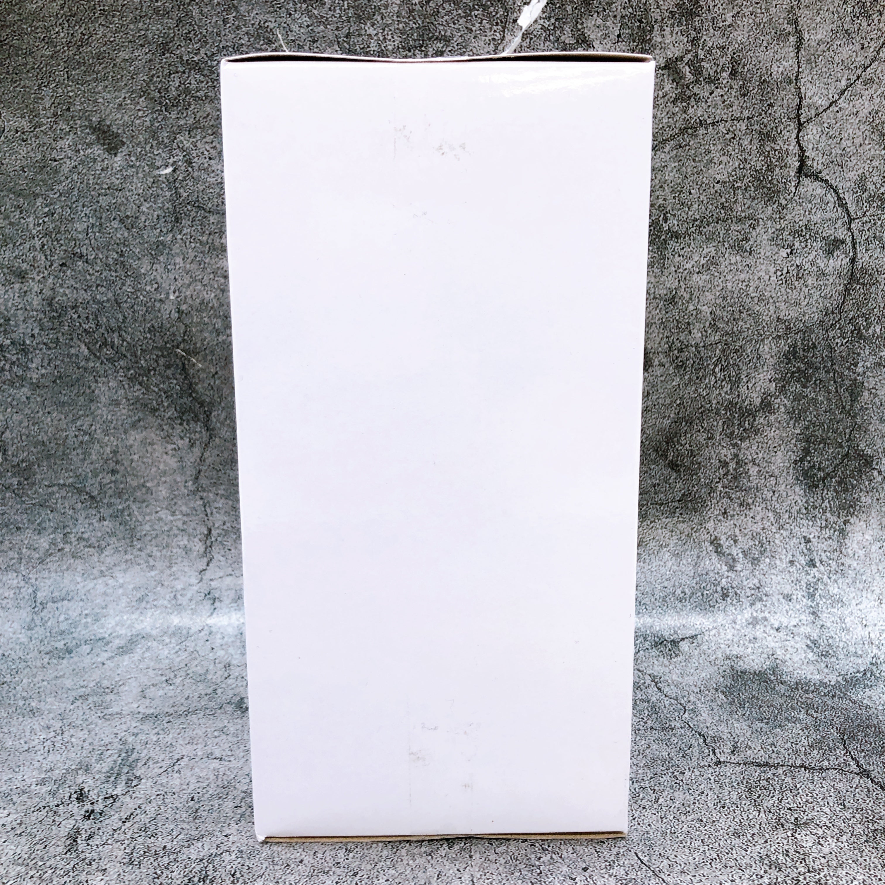 Re:Zero Rem Coreful Figure Cat Ear Nekomimi Maid Renewal Taito Online Limited