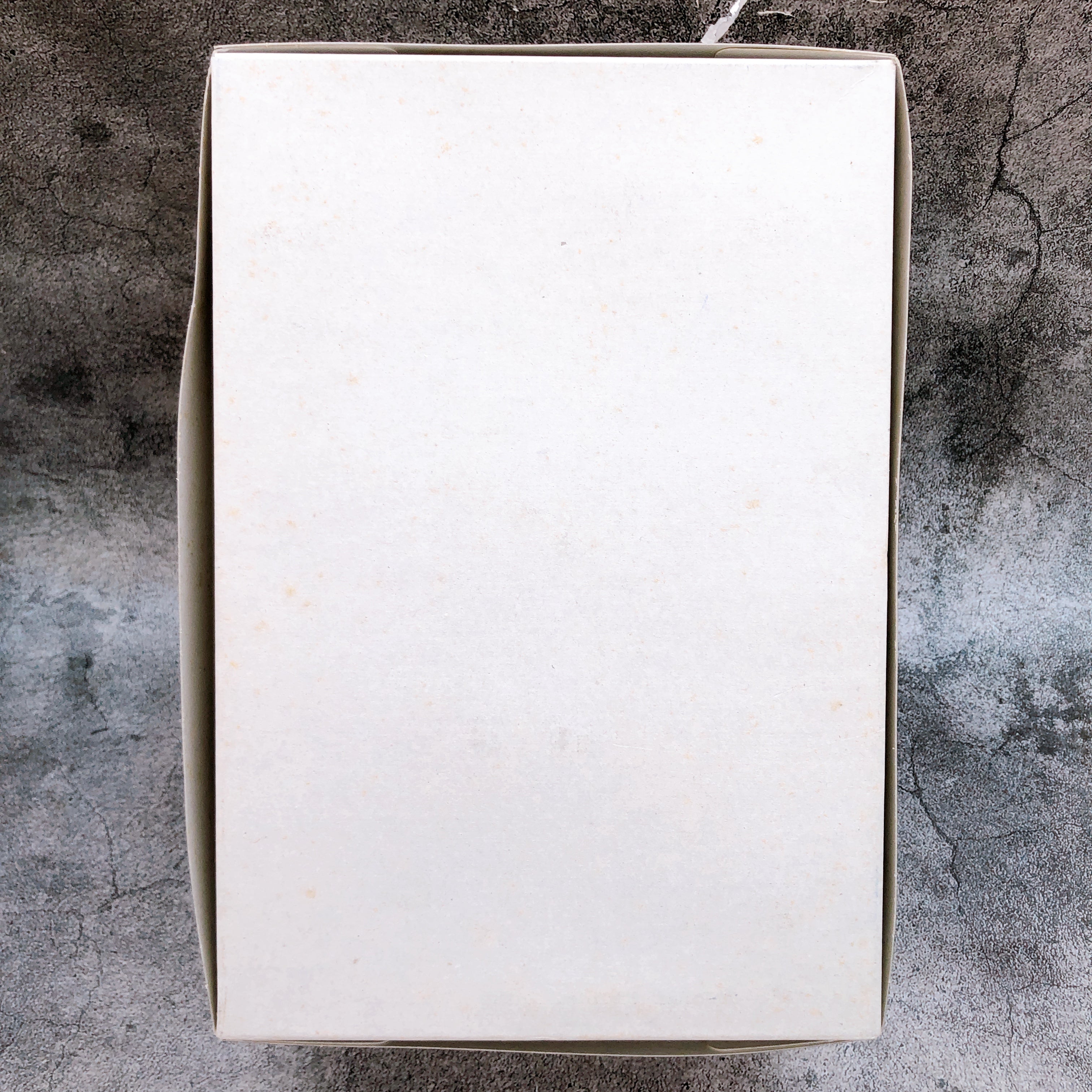 MURAKUMO A.R.K Cloud Breaker Another Color LX-55 1/48 Model Kit PLUM Japan NEW