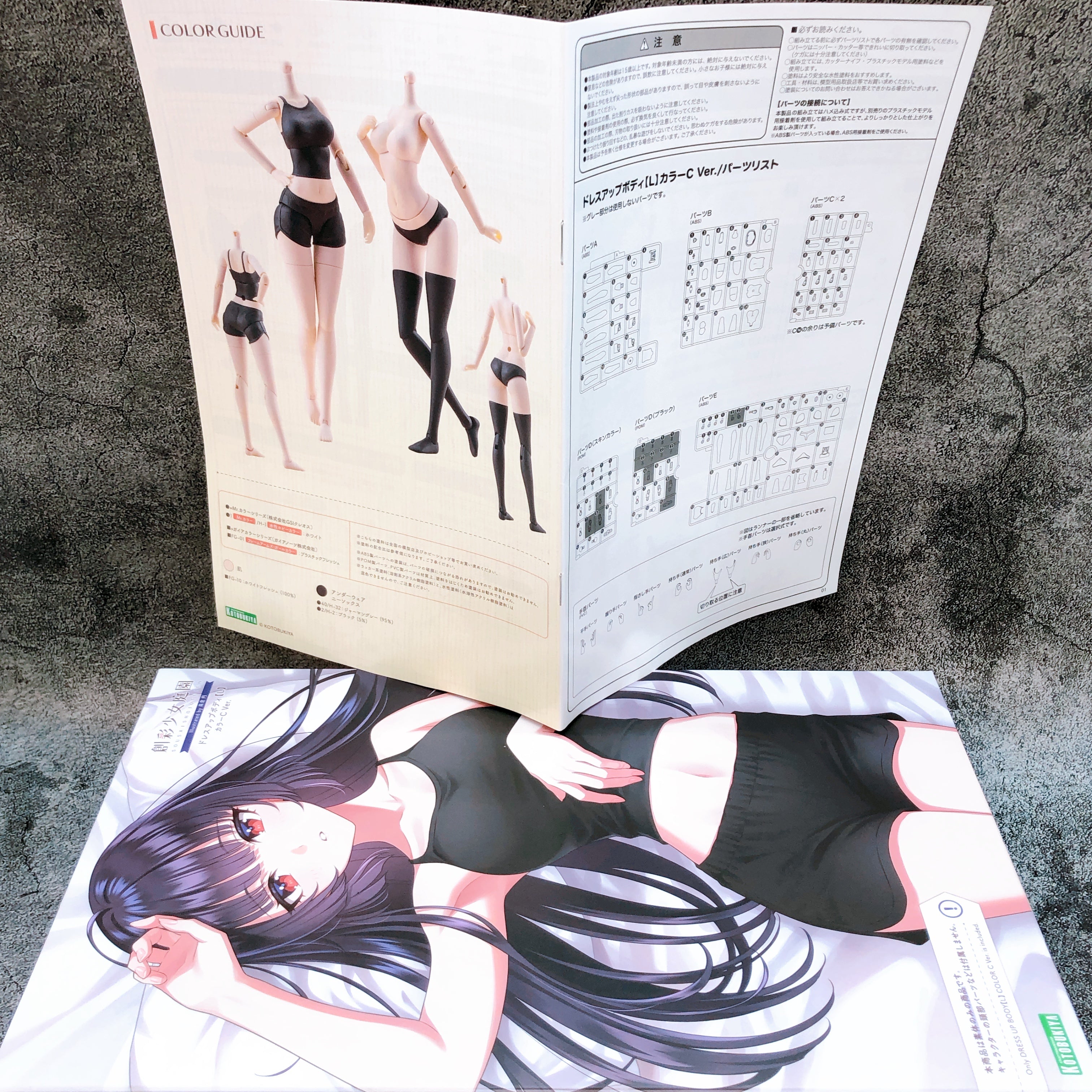 Sousai Shojo Teien Dress Up Body L Color C Ver 1:10 Scale Kit KOTOBUKIYA Japan