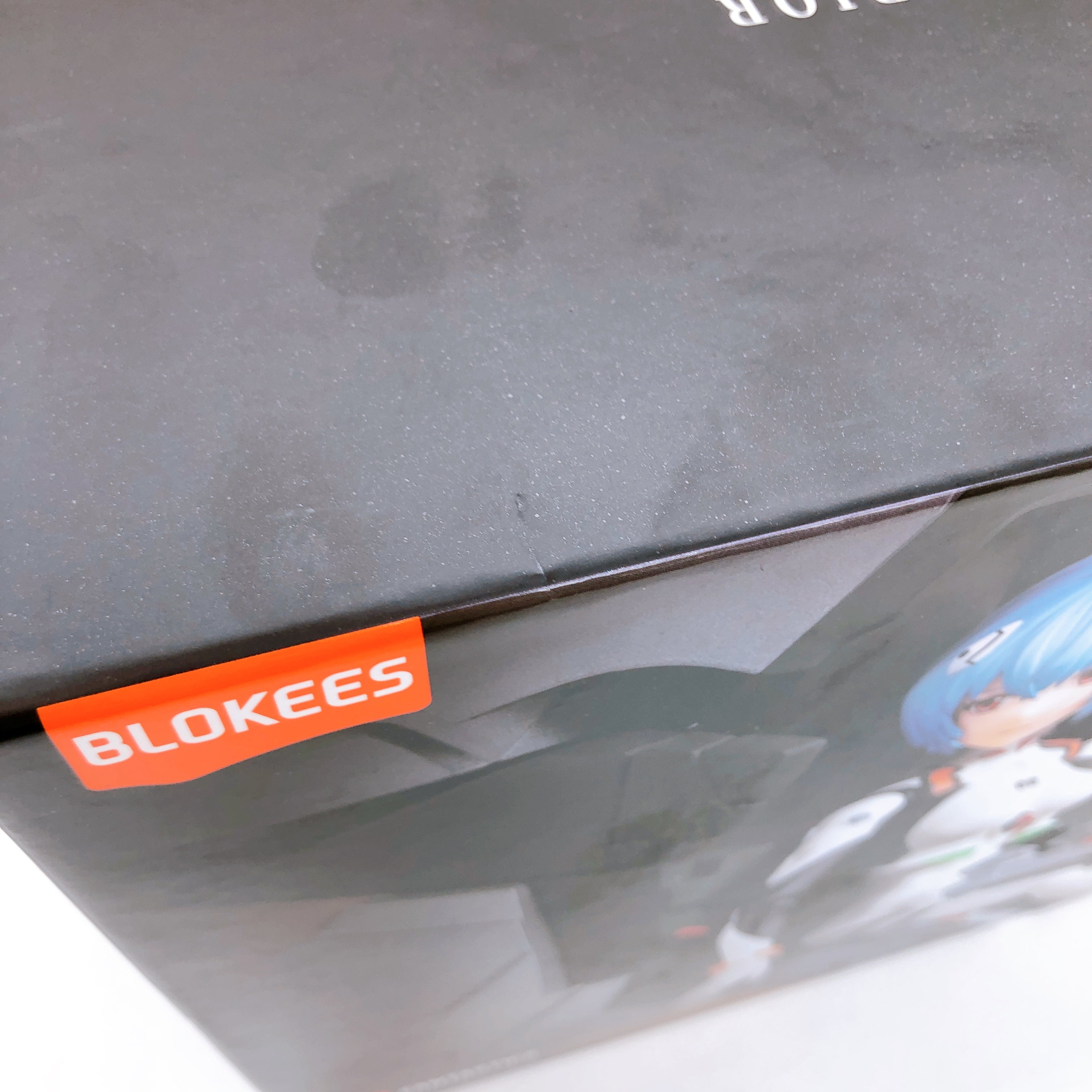BLOKEES Rei Aayanami with Entry Plug Interior Evangelion Model Kit 15+ Japan NEW