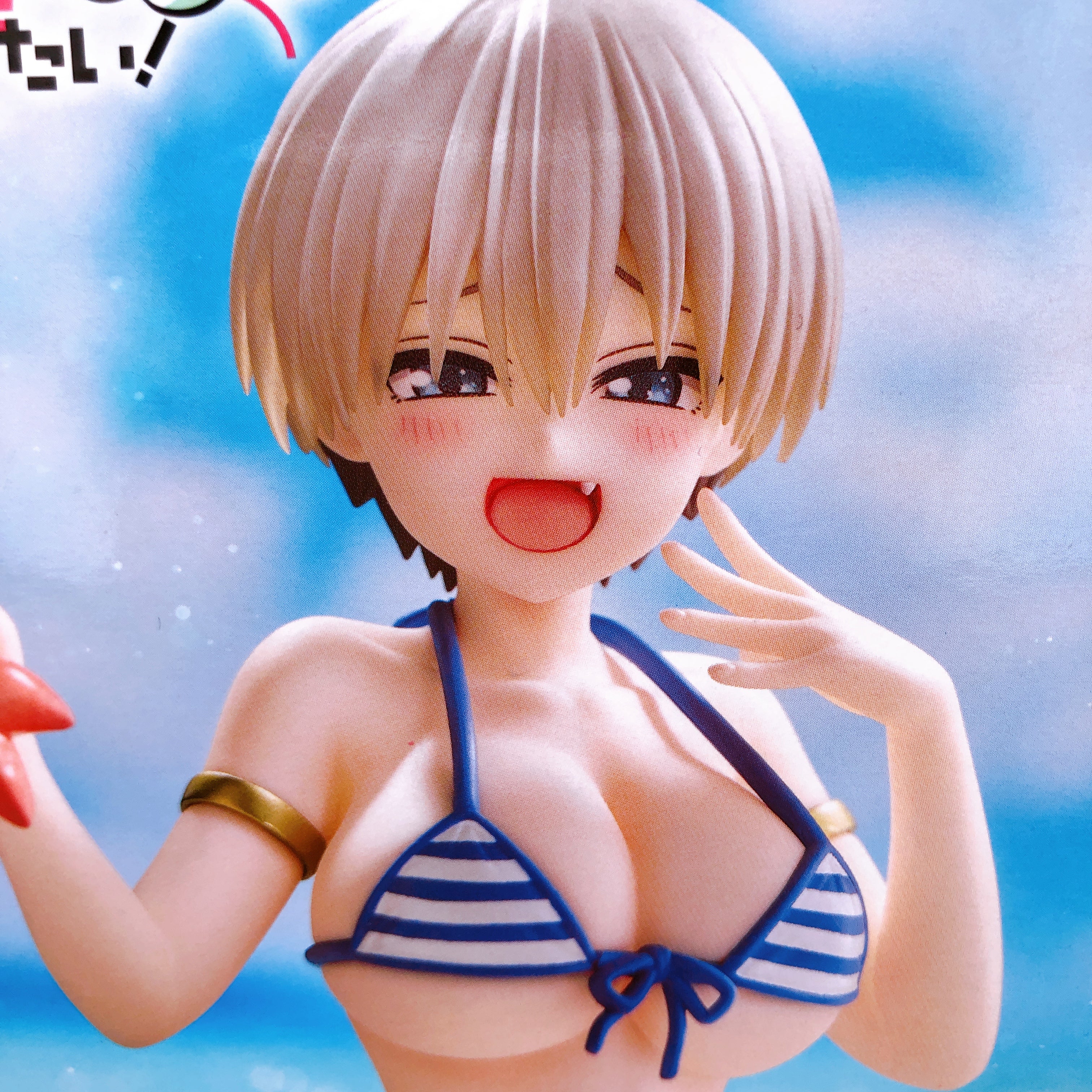 Uzaki-chan Wants to Hang Out! Hana Uzaki Swimsuit Beach Ver. Desktop Cute Figure