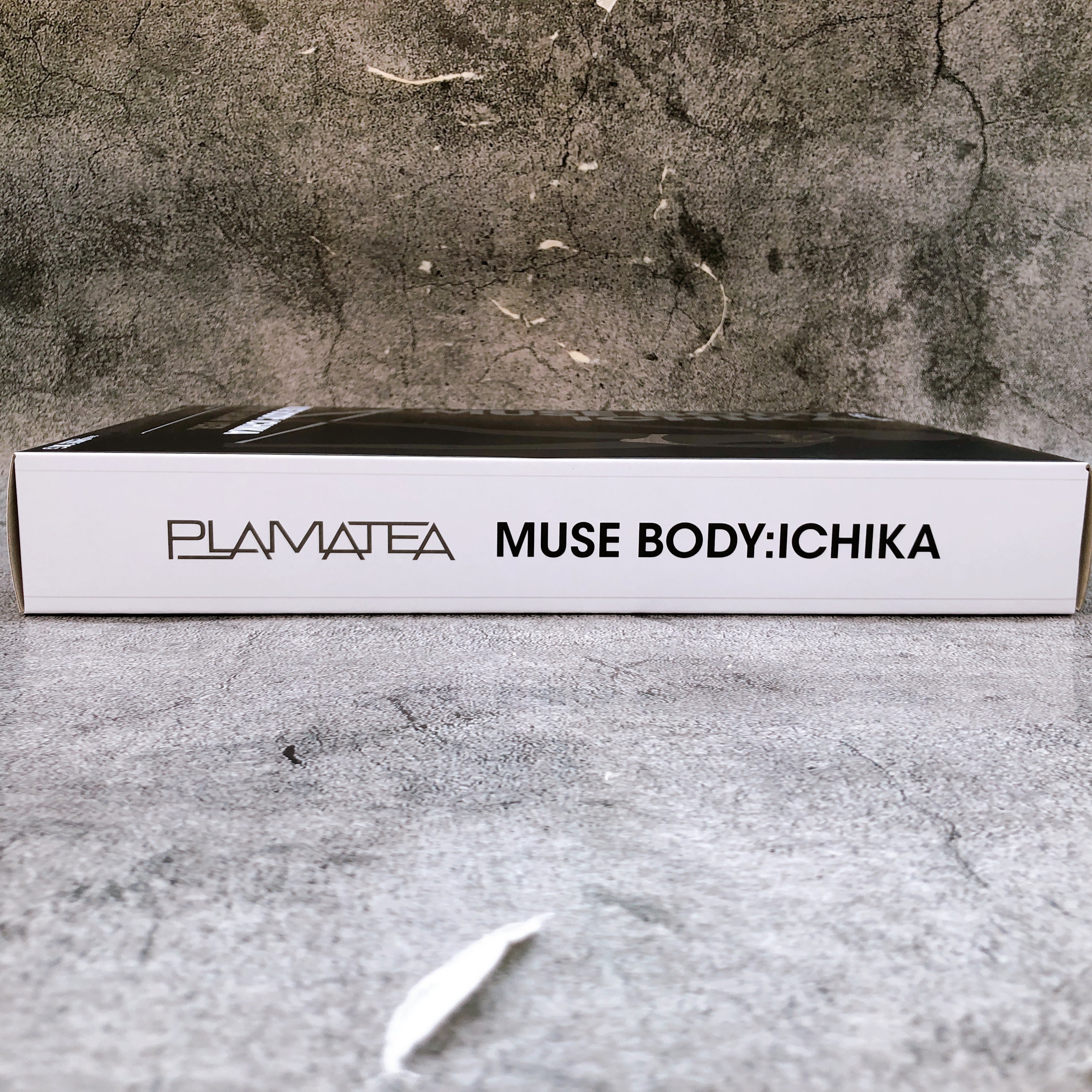 PLAMATEA Muse Body Ichika Silver Bikini Ver. Limited Model Kit 15+ GSC Japan NEW