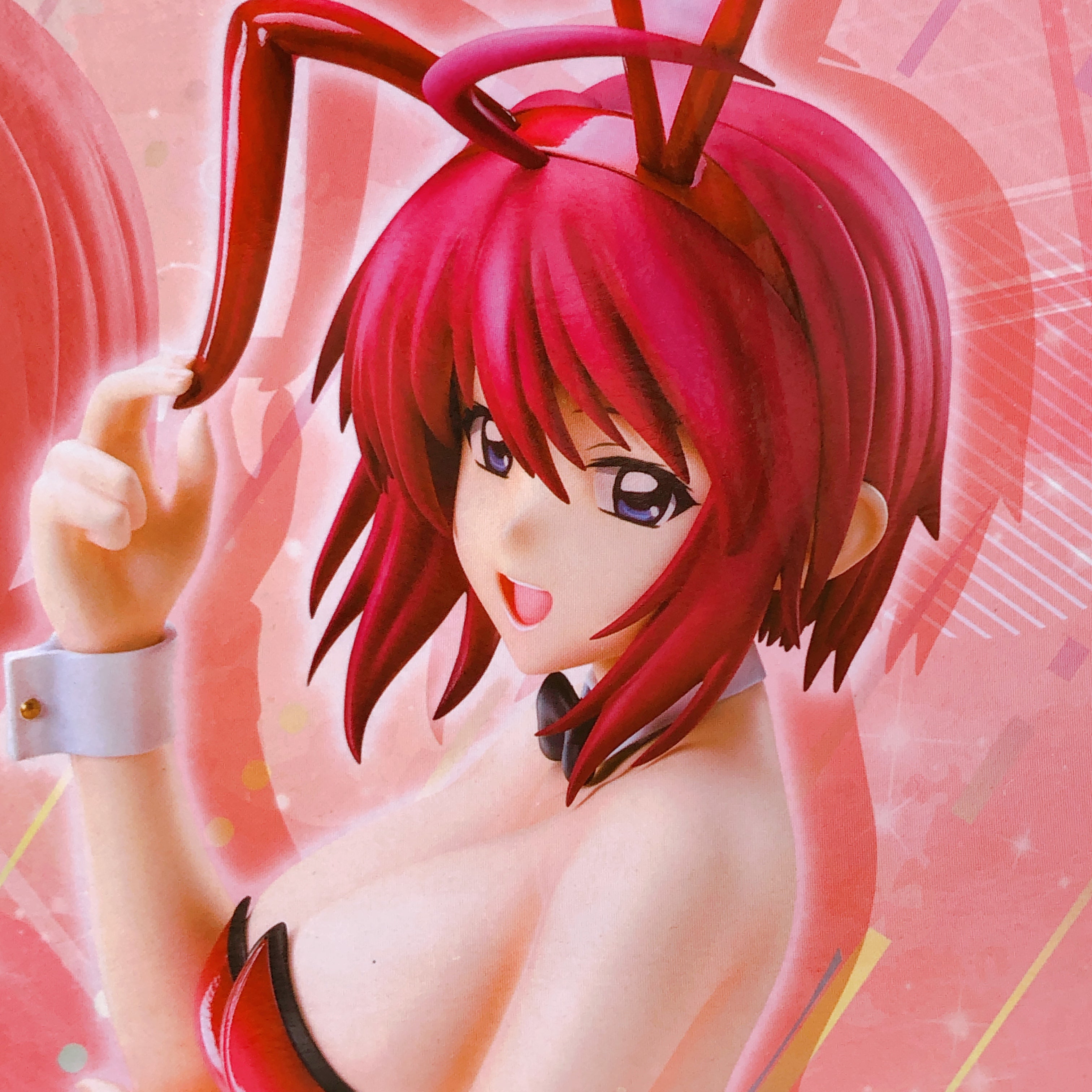 Mobile Suit Gundam SEED DESTINY Lunamaria Hawke Bunny Ver. 1/4 Scale Figure