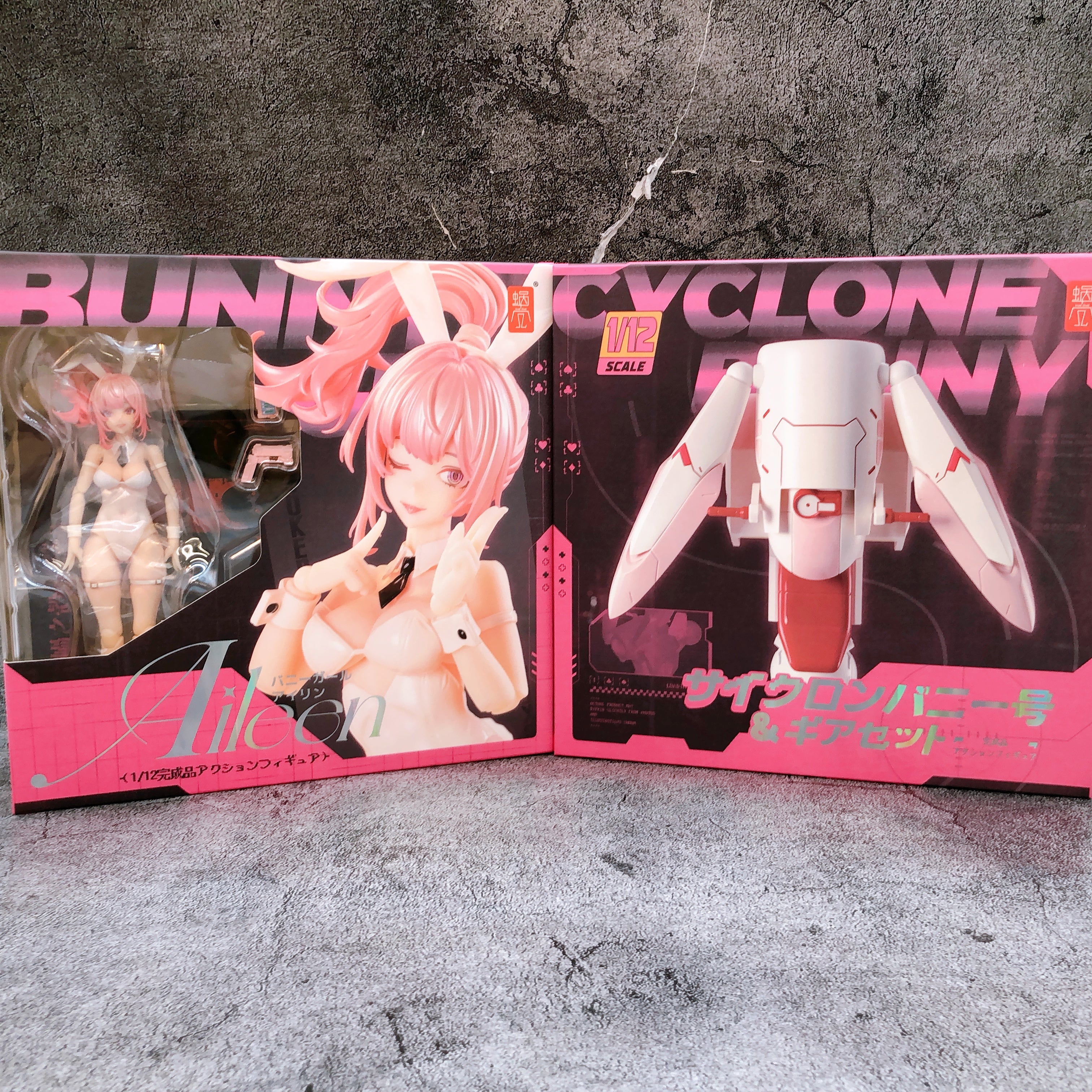 Aileen Bunny Girl & Cyclone Bunny 4点セット Bunny Girl Aileen Action Figure with Cyclone & Gear Set 1/12 Scale Sna