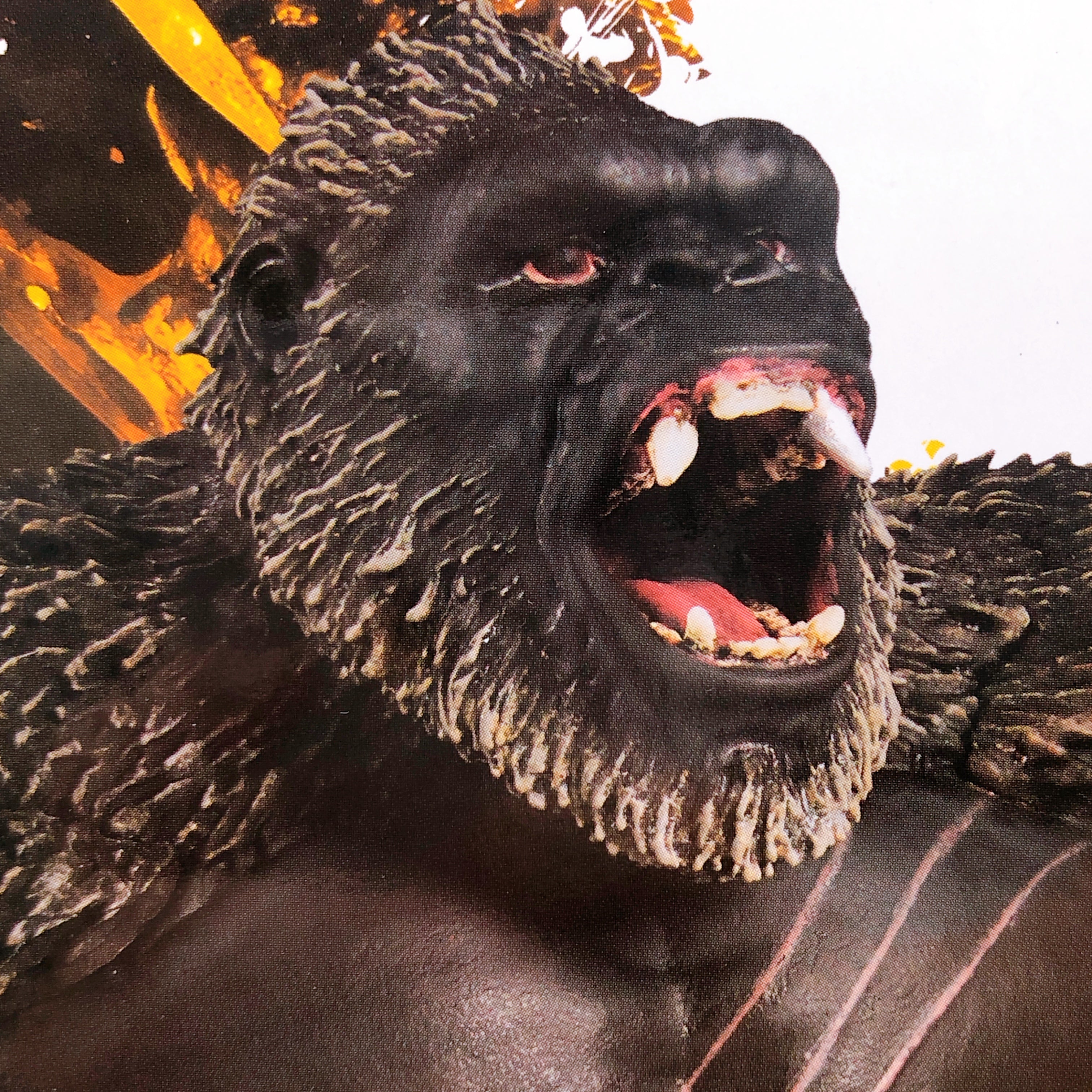 Godzilla x Kong The New Empire Kong(2024) Monster Roar