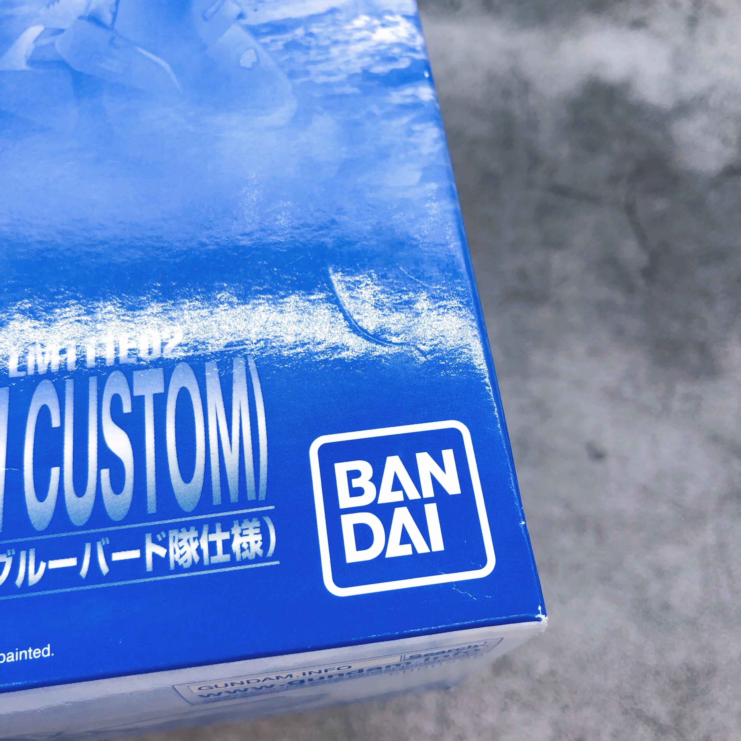 RE/100 1/100 GUN EZ Ground Type Bluebird Team Custom Model Kit Premium Bandai