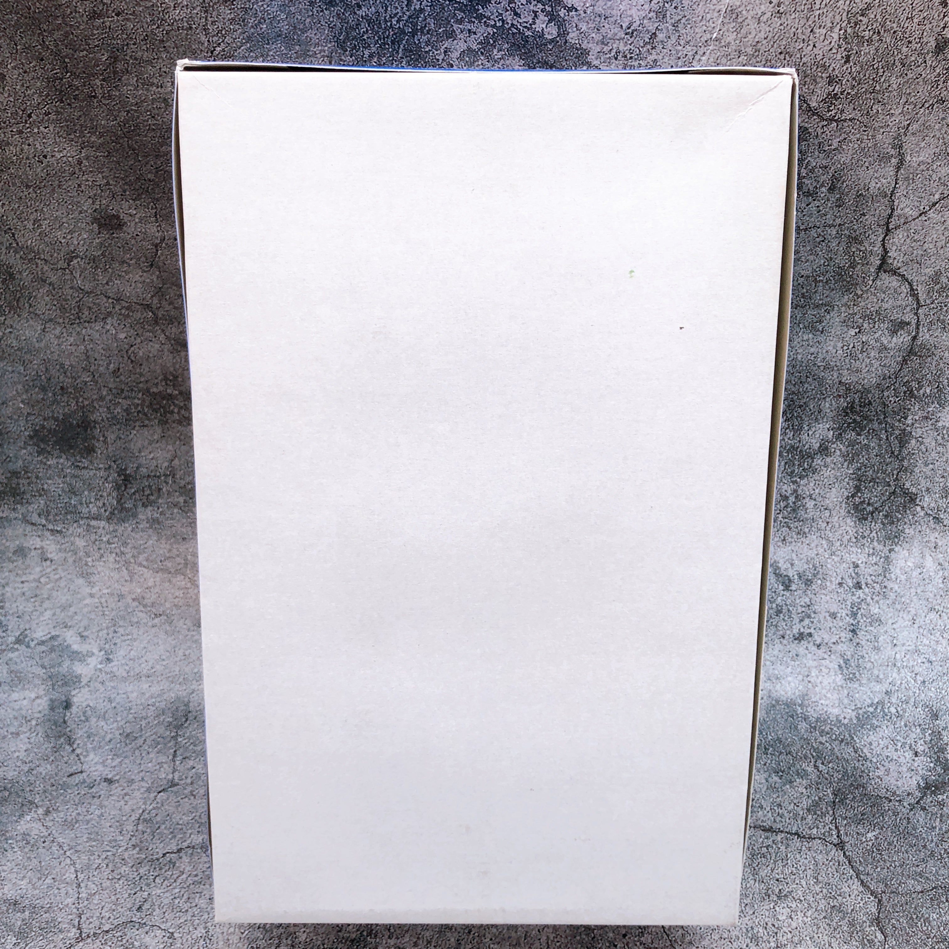 RE/100 1/100 GUN EZ Ground Type Bluebird Team Custom Model Kit Premium Bandai