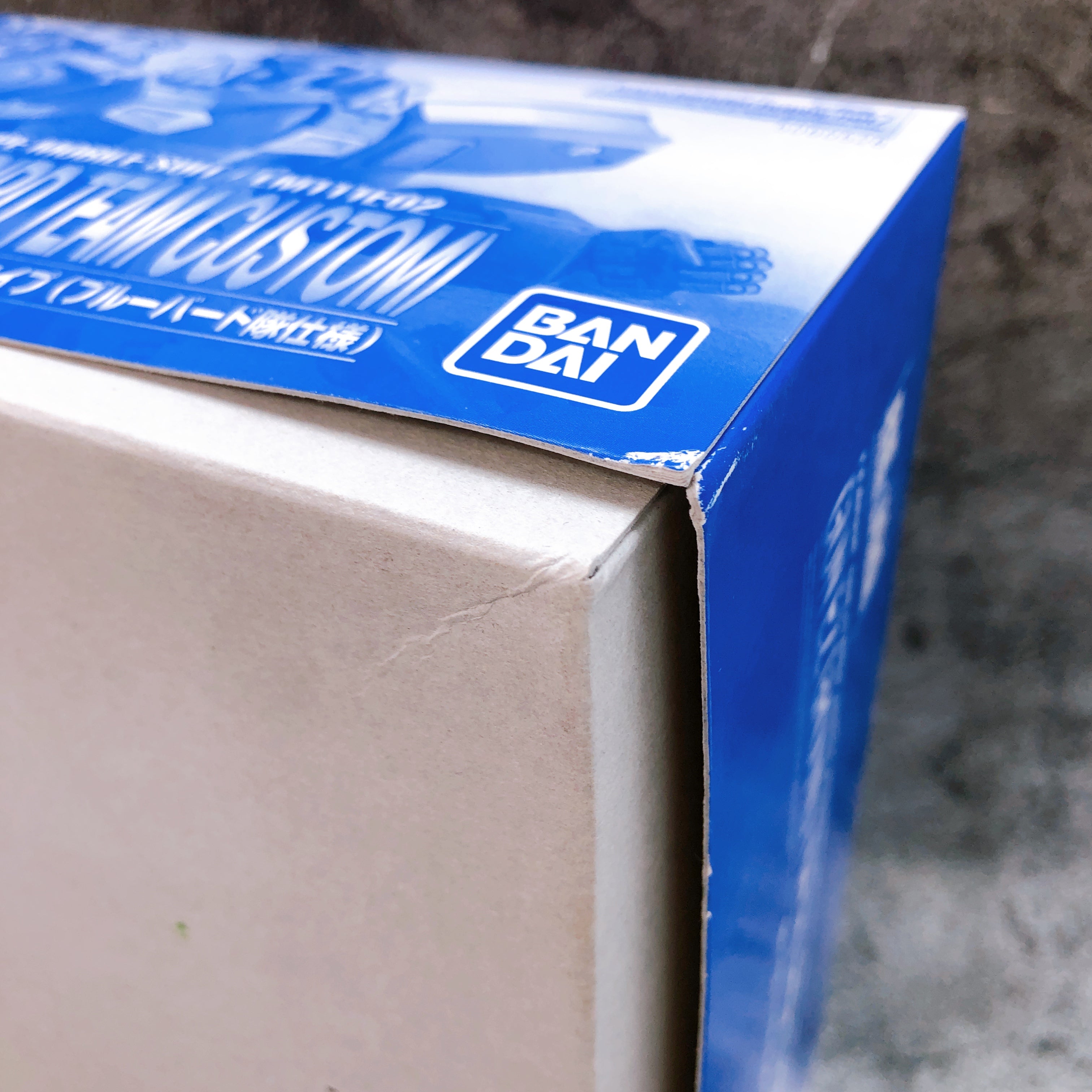 RE/100 1/100 GUN EZ Ground Type Bluebird Team Custom Model Kit Premium Bandai