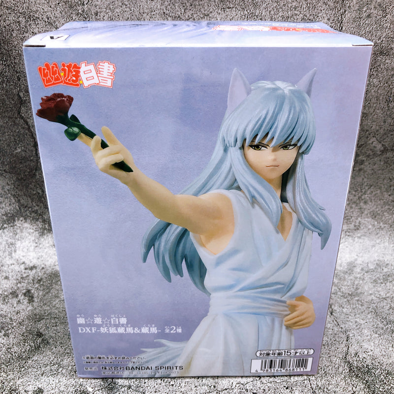 Yu Yu Hakusho Yoko Kurama DXF -Yoko Kurama & Kurama- (A) (2681615) [BANPRESTO]