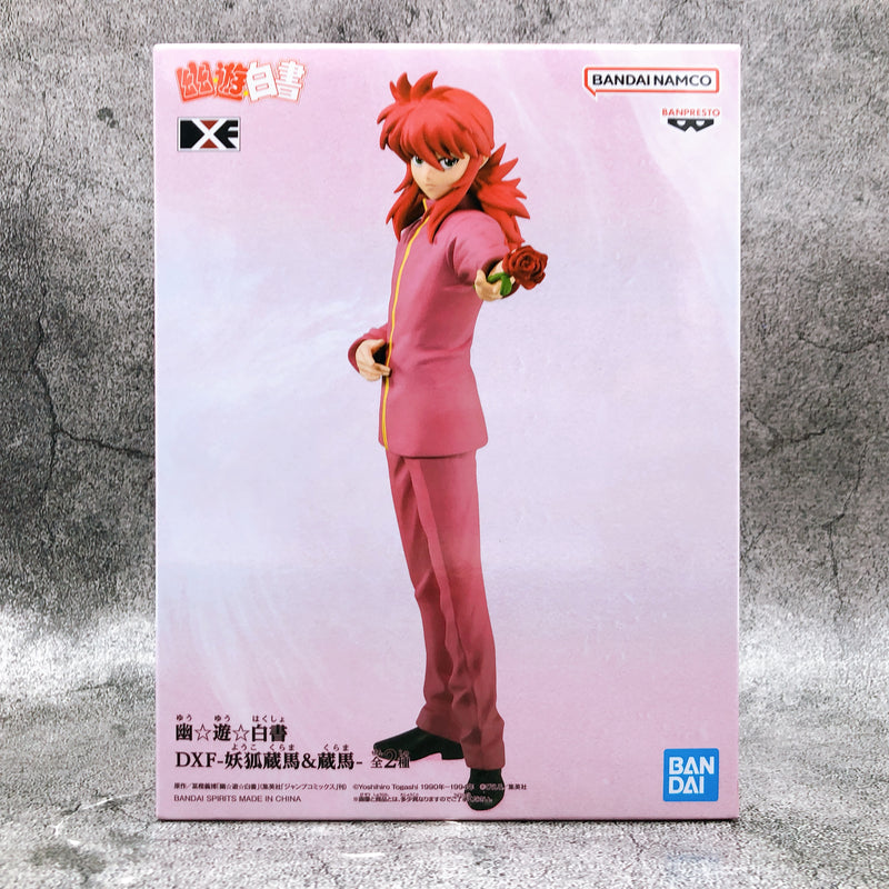 Yu Yu Hakusho Kurama DXF -Yoko Kurama & Kurama- (B) (2681615) [BANPRESTO]