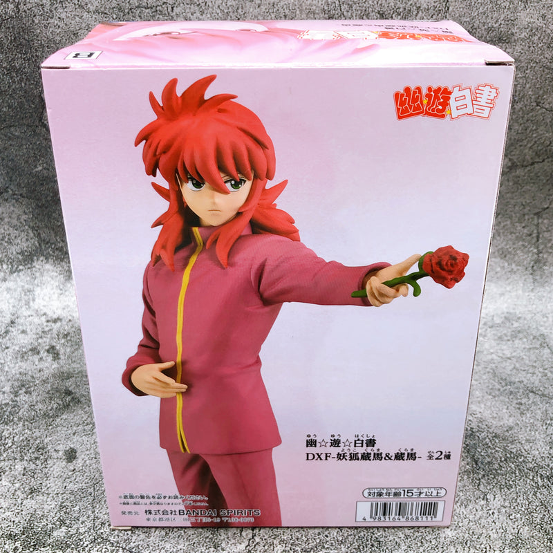 Yu Yu Hakusho Kurama DXF -Yoko Kurama & Kurama- (B) (2681615) [BANPRESTO]