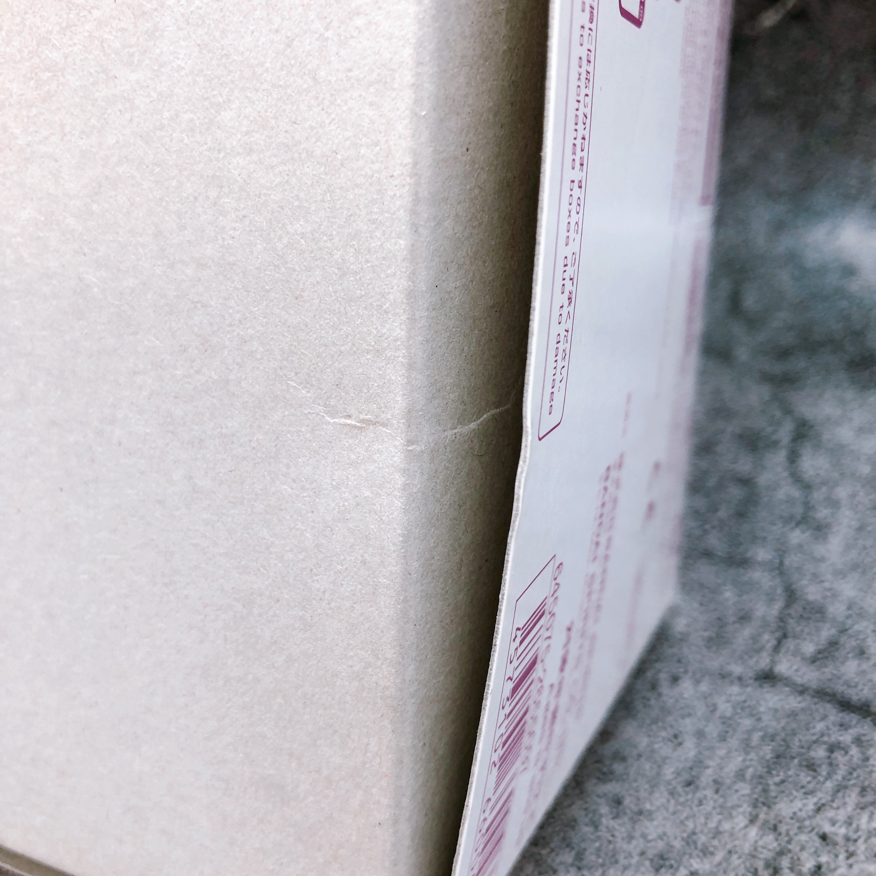 HG 1/144 Ghost Gundam XM-XX Crossbone Gundam Model Kit Premium Bandai Japan NEW