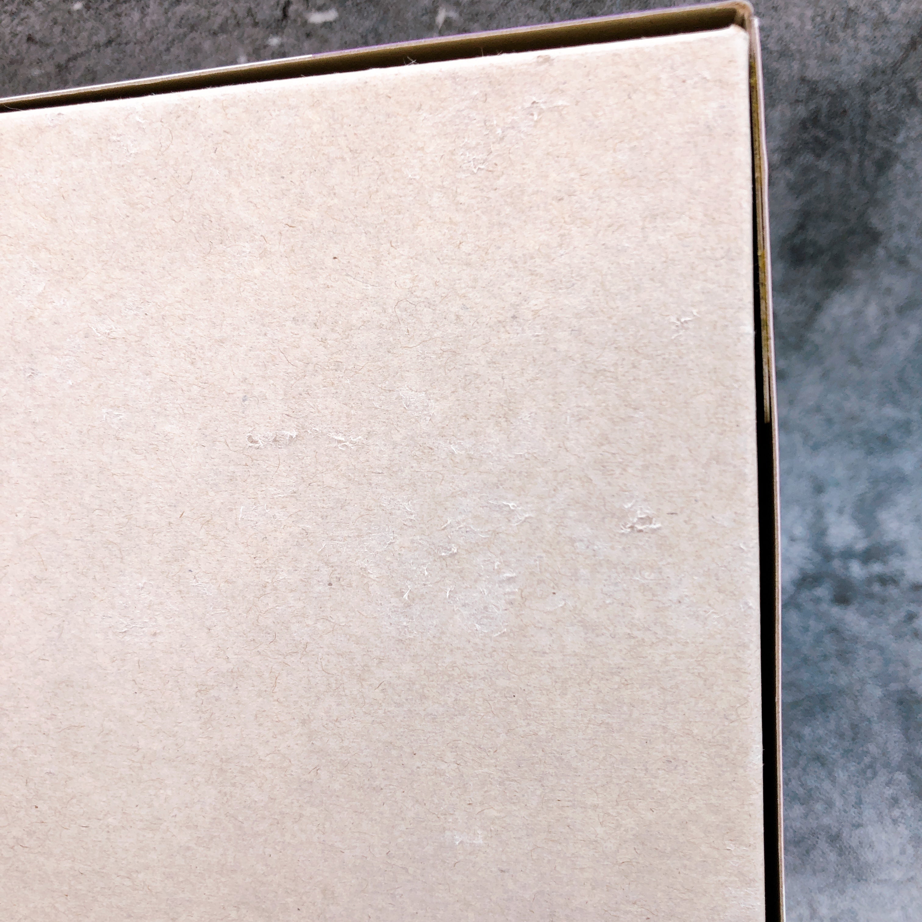 (w/Bonus) Cross Frame Girl Dark Magician Girl Yu-Gi-Oh! Model Kit KOTOBUKIYA NEW