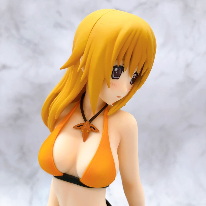 Charlotte Dunois: Swimsuit Ver.