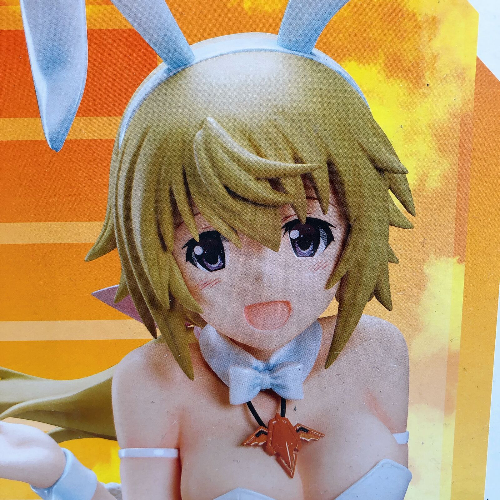 IS＜Infinite Stratos＞ Charlotte Dunois Bareleg Bunny Ver. 1/4 Scale [FREEing]