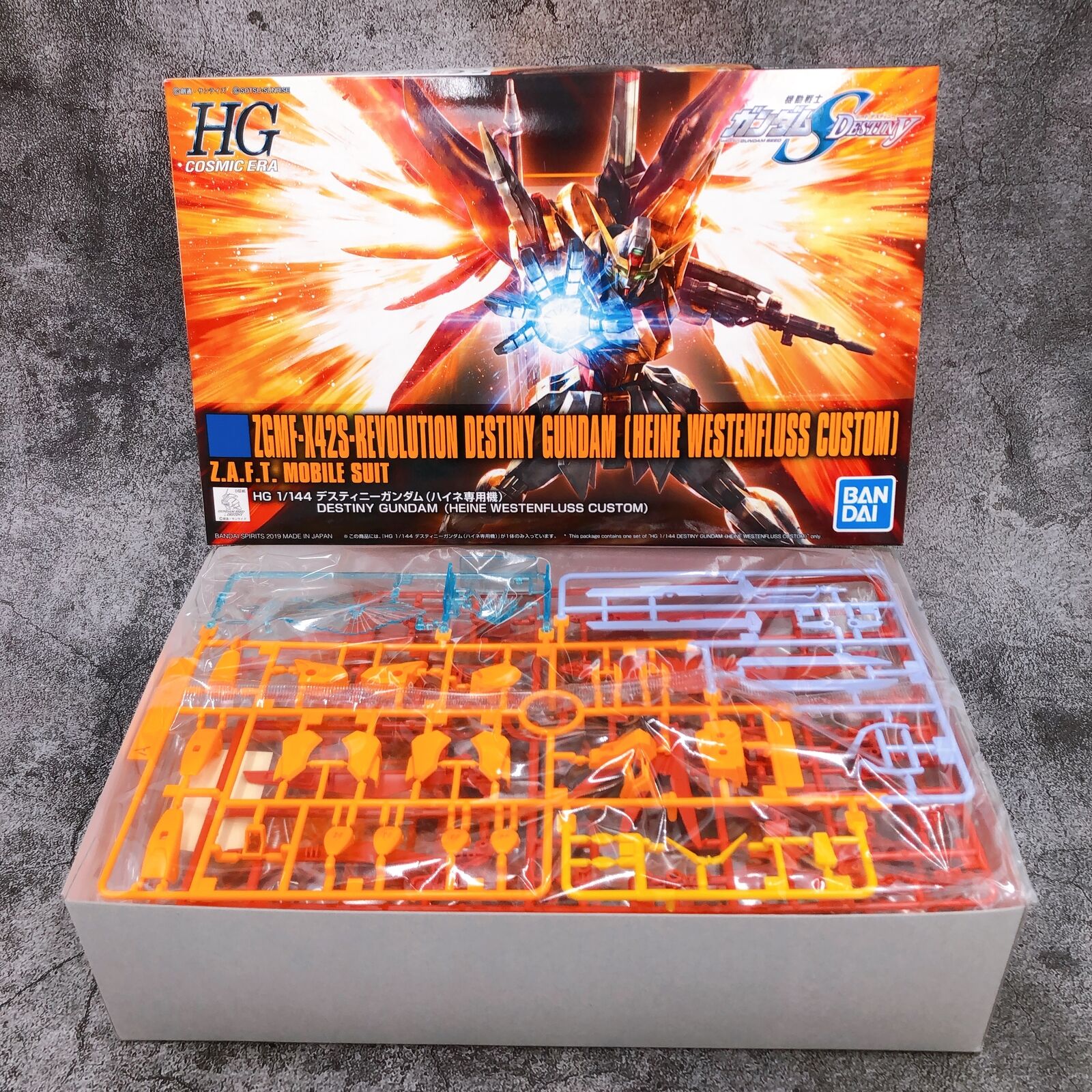 HGCE 1/144 Destiny Gundam (Heine Westenfluss Custom)
