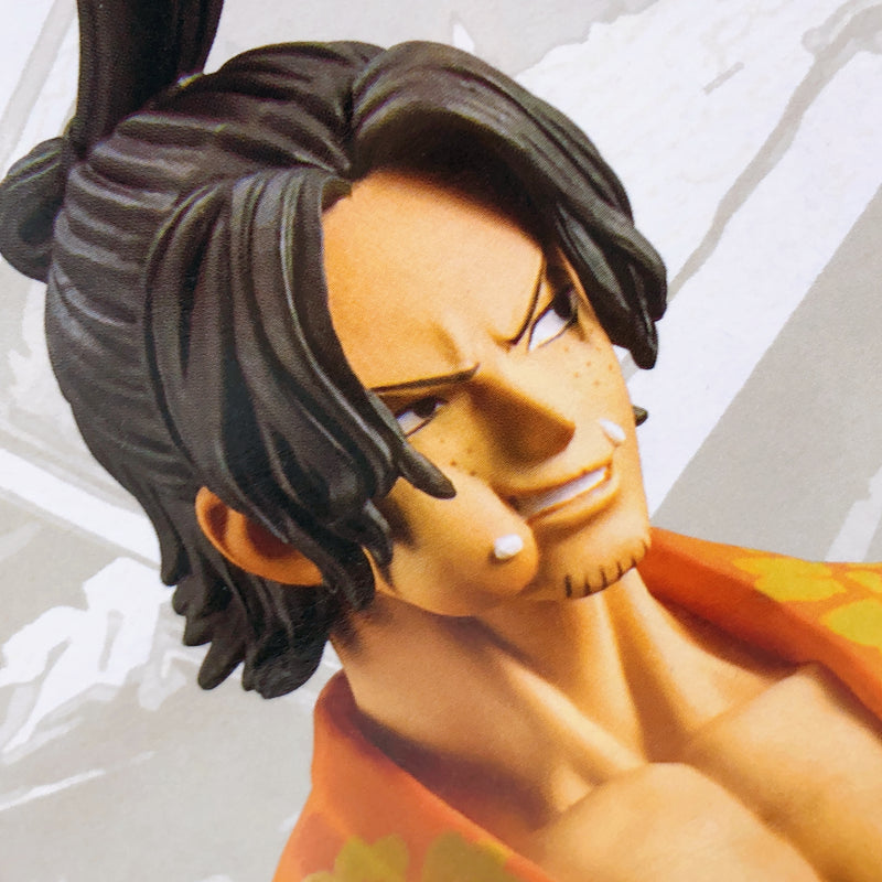 ONE PIECE Ace magazine FIGURE ?A Piece of Dream