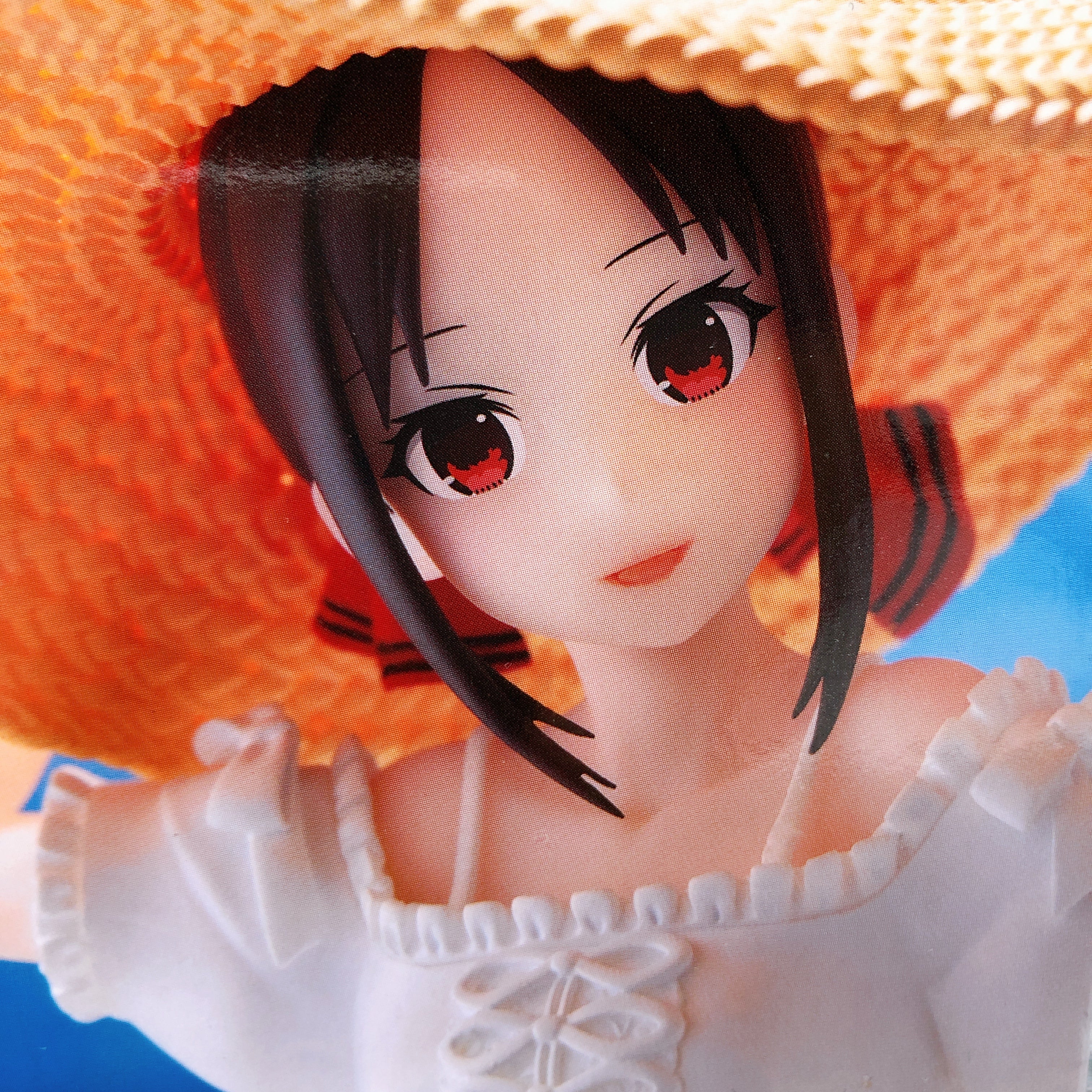 ねとらん者 擬人化キャラクターコレクション ビスケたん＆カルタン