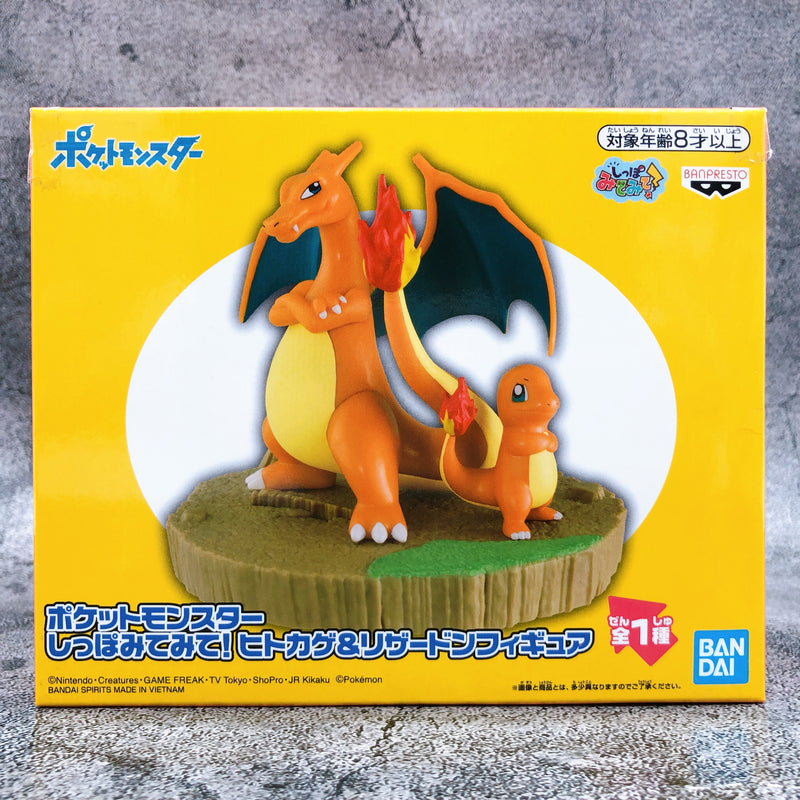 Pokemon Charmander & Charizard Shippo Mite Mite Figure [BANPRESTO]